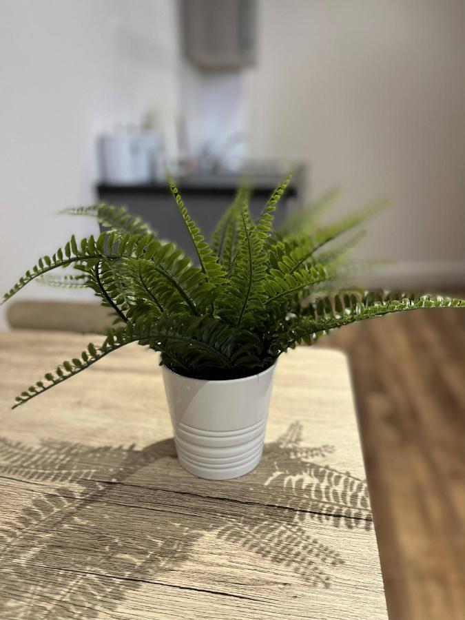 Sublime Stays Webberley Stylish Studio Stoke City Centre Eksteriør bilde